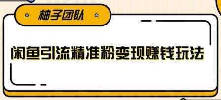 闲鱼引流精准粉变现赚钱玩法，每天可以引流精准粉100+-项目熊-引流教程-网赚教程-副业教程-引流技术-副业-网络赚钱项目