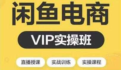 闲鱼副业项目月入过万进阶课程，教你掌握闲鱼电商所需的各项技能-项目熊-引流教程-网赚教程-副业教程-引流技术-副业-网络赚钱项目