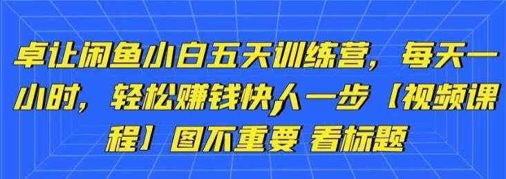 卓让《闲鱼项目小白五天训练营》每天一小时，轻松赚钱快人一步-项目熊-引流教程-网赚教程-副业教程-引流技术-副业-网络赚钱项目