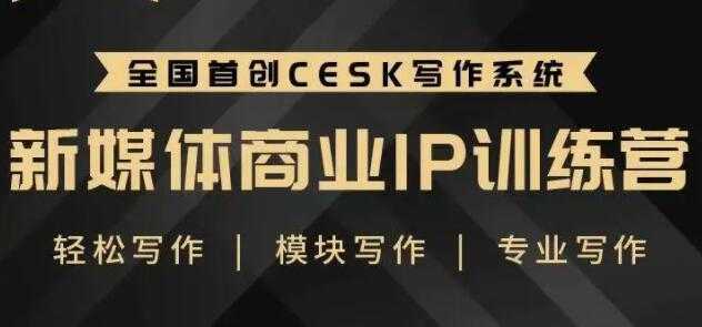 自媒体运营培训课程，新媒体商业IP训练营，轻松写作赚钱-项目熊-引流教程-网赚教程-副业教程-引流技术-副业-网络赚钱项目