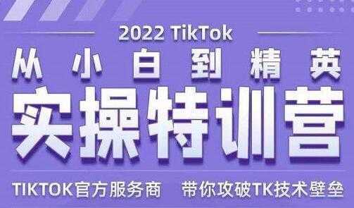 Seven漆《Tiktok从小白到精英实操特训营》带你掌握Tiktok账号运营-项目熊-引流教程-网赚教程-副业教程-引流技术-副业-网络赚钱项目
