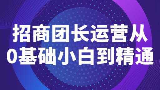 《招商团长运营》从0基础小白到精通-项目熊-引流教程-网赚教程-副业教程-引流技术-副业-网络赚钱项目