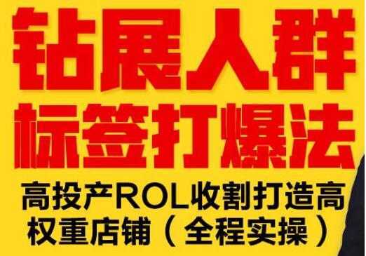逐鹿《淘宝钻展人群标签打爆法》高投产ROL收割打造高权重店铺(全程实操)-项目熊-引流教程-网赚教程-副业教程-引流技术-副业-网络赚钱项目