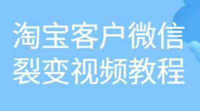 《淘宝客户微信裂变》培训课程视频教程-项目熊-引流教程-网赚教程-副业教程-引流技术-副业-网络赚钱项目