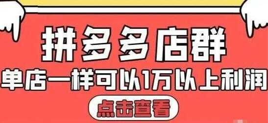 大凯电商《拼多多店群运营》单店一样可以产出1万5以上利润-项目熊-引流教程-网赚教程-副业教程-引流技术-副业-网络赚钱项目