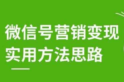 徐悦佳《微信号营销变现实用方法思路》朋友圈刷屏裂变方法-项目熊-引流教程-网赚教程-副业教程-引流技术-副业-网络赚钱项目