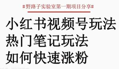 小红书视频号项目，直接上手操作，月入过万-项目熊-引流教程-网赚教程-副业教程-引流技术-副业-网络赚钱项目