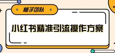 小红书精准引流操作方案，能够直接落地实操引流技术-项目熊-引流教程-网赚教程-副业教程-引流技术-副业-网络赚钱项目