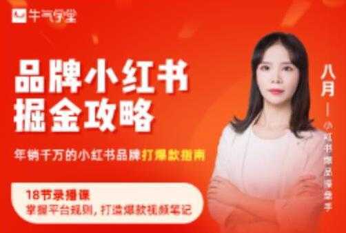 《品牌小红书掘金攻略》年销千万的小红书品牌打爆款指南-项目熊-引流教程-网赚教程-副业教程-引流技术-副业-网络赚钱项目