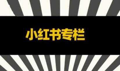 品牌医生《小红书全链营销干货》5个起盘案例，营销策略规划，避坑指南-项目熊-引流教程-网赚教程-副业教程-引流技术-副业-网络赚钱项目