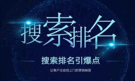 王通SEO《搜索排名引爆点》教你快速掌握各个搜索引擎排名算法-项目熊-引流教程-网赚教程-副业教程-引流技术-副业-网络赚钱项目