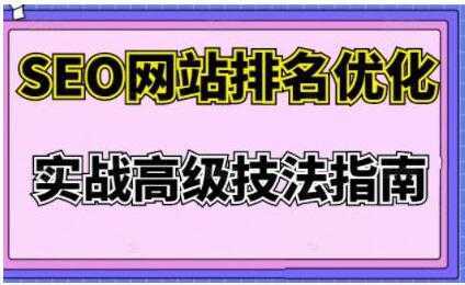 樊天华《SEO网站排名优化》实战高级技法指南-项目熊-引流教程-网赚教程-副业教程-引流技术-副业-网络赚钱项目