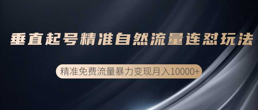 垂直起号精准自然流量连爆玩法，精准引流暴力变现月入10000+-项目熊-引流教程-网赚教程-副业教程-引流技术-副业-网络赚钱项目