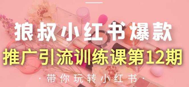 狼叔小红书爆款推广引流训练课第12期，手把手带你玩转小红书-项目熊-引流教程-网赚教程-副业教程-引流技术-副业-网络赚钱项目