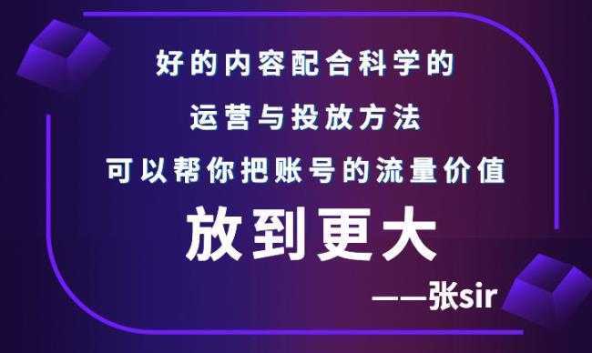 张sir账号流量增长课，告别海王流量，让你的流量更精准-项目熊-引流教程-网赚教程-副业教程-引流技术-副业-网络赚钱项目