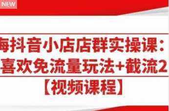 大海抖音小店店群实操课：猜你喜欢免流量玩法+截流 2.0-项目熊-引流教程-网赚教程-副业教程-引流技术-副业-网络赚钱项目