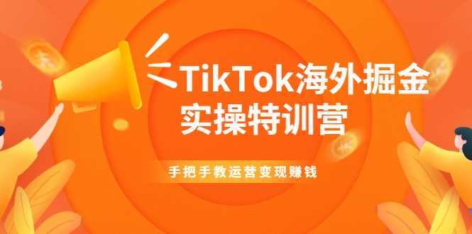 TikTok海外掘金实操特训营：手把手教运营变现赚钱-项目熊-引流教程-网赚教程-副业教程-引流技术-副业-网络赚钱项目