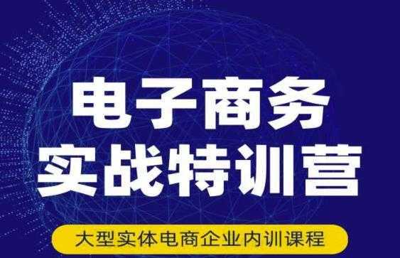 民赛电气内部出品：电子商务实战特训营，全方位带你入门电商，308种方式玩转电商-项目熊-引流教程-网赚教程-副业教程-引流技术-副业-网络赚钱项目