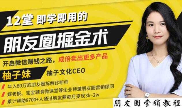 【营销必学】12堂学之即用的朋友圈掘金术：开启你的副业赚钱之路-项目熊-引流教程-网赚教程-副业教程-引流技术-副业-网络赚钱项目