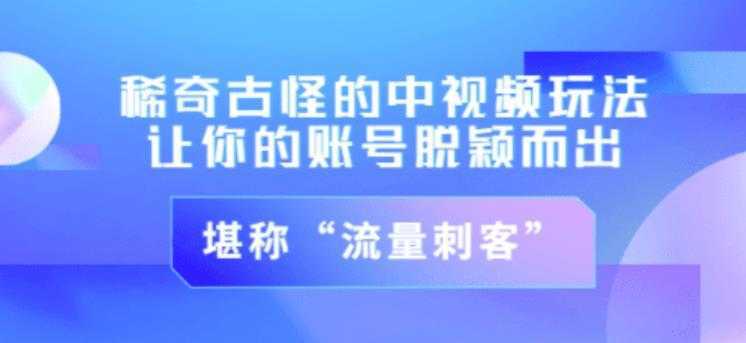 不讲李·稀奇古怪的冷门中视频冷门玩法，让你的账号脱颖而出，成为流量刺客！（图文+视频）-项目熊-引流教程-网赚教程-副业教程-引流技术-副业-网络赚钱项目