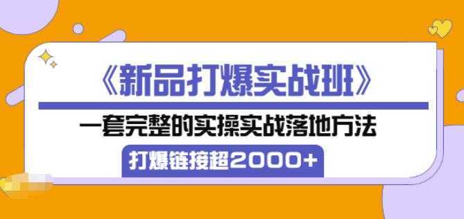 凌童《新品打爆实战班》,一套完整的实操实战落地方法，打爆链接超2000+（28节课)-项目熊-引流教程-网赚教程-副业教程-引流技术-副业-网络赚钱项目