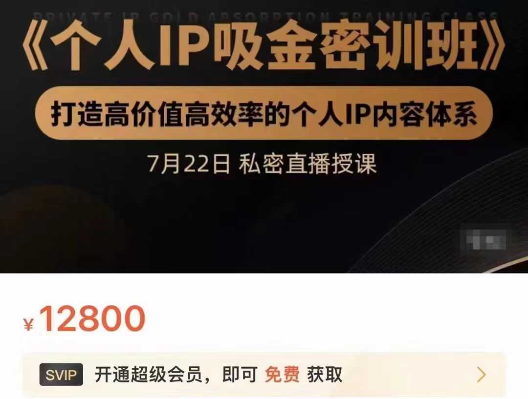 个人IP吸金密训班，打造高价值高效率的个人IP内容体系（价值12800元）-项目熊-引流教程-网赚教程-副业教程-引流技术-副业-网络赚钱项目