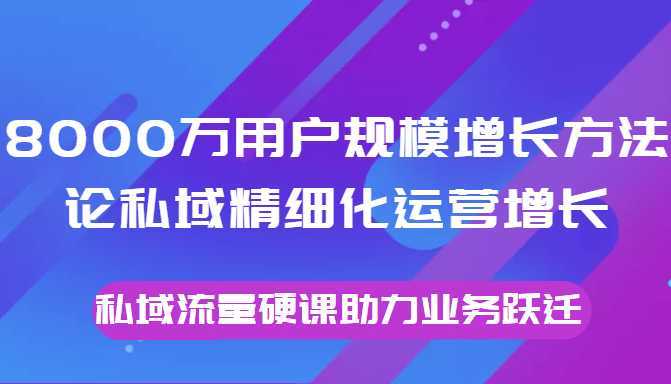 8000万用户规模增长方法论私域精细化运营增长，私域流量硬课助力业务跃迁-项目熊-引流教程-网赚教程-副业教程-引流技术-副业-网络赚钱项目