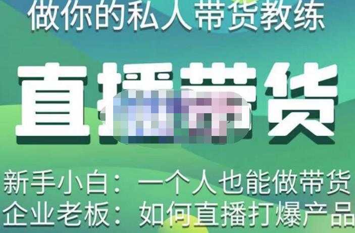 硬核传媒·直播带货（私人教练），实操实战教学，通俗易懂，学完后新手小白一个人也能做带货-项目熊-引流教程-网赚教程-副业教程-引流技术-副业-网络赚钱项目