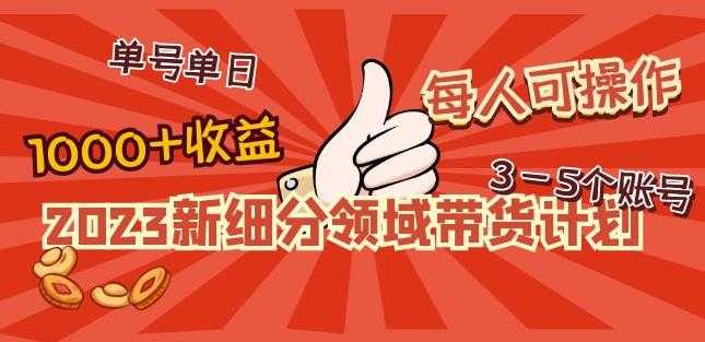 2023新细分领域带货计划：单号单日1000+收益不难，每人可操作3-5个账号-项目熊-引流教程-网赚教程-副业教程-引流技术-副业-网络赚钱项目