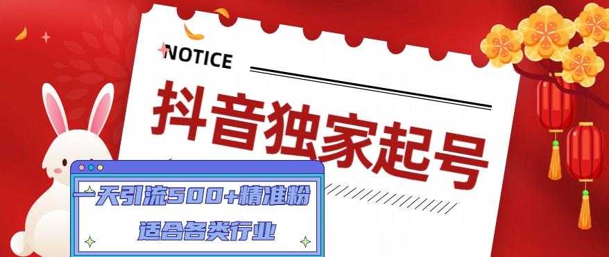 抖音独家起号，一天引流500+精准粉，适合各类行业（9节视频课）-项目熊-引流教程-网赚教程-副业教程-引流技术-副业-网络赚钱项目