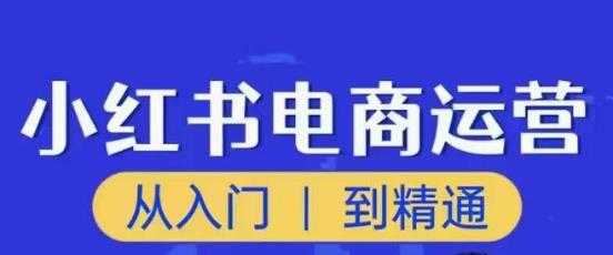 顽石小红书电商高阶运营课程，从入门到精通，玩法流程持续更新-项目熊-引流教程-网赚教程-副业教程-引流技术-副业-网络赚钱项目