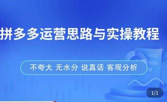 图片[1]-拼多多店铺运营思路与实操教程，快速学会拼多多开店和运营，少踩坑，多盈利-项目熊-引流教程-网赚教程-副业教程-引流技术-副业-网络赚钱项目
