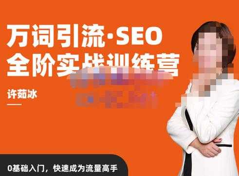 许茹冰·万词引流-SEO全阶实战训练营，0基础入门，快速成为流量高手-项目熊-引流教程-网赚教程-副业教程-引流技术-副业-网络赚钱项目