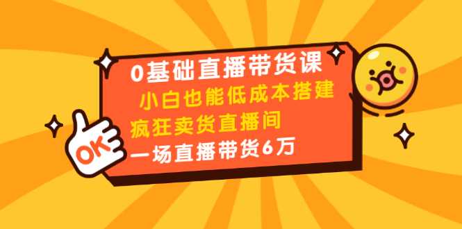 0基础直播带货课：小白也能低成本搭建疯狂卖货直播间：1场直播带货6万-项目熊-引流教程-网赚教程-副业教程-引流技术-副业-网络赚钱项目