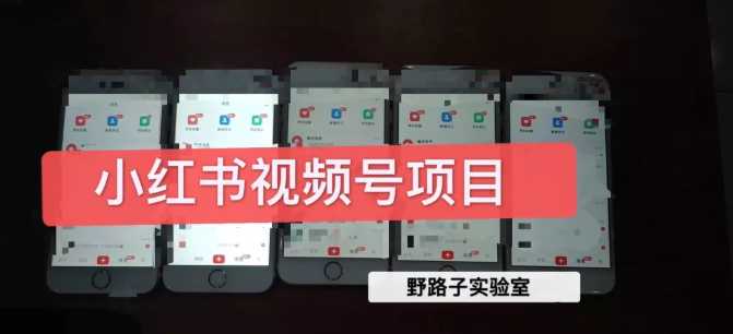 图片[1]-野路子小红书视频号1.0项目，直接上手操作就能赚钱的视频号项目-项目熊-引流教程-网赚教程-副业教程-引流技术-副业-网络赚钱项目