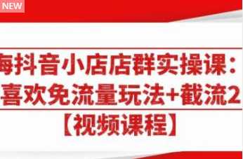 大海抖音小店店群实操课：猜你喜欢免流量玩法+截流 2.0-项目熊-引流教程-网赚教程-副业教程-引流技术-副业-网络赚钱项目