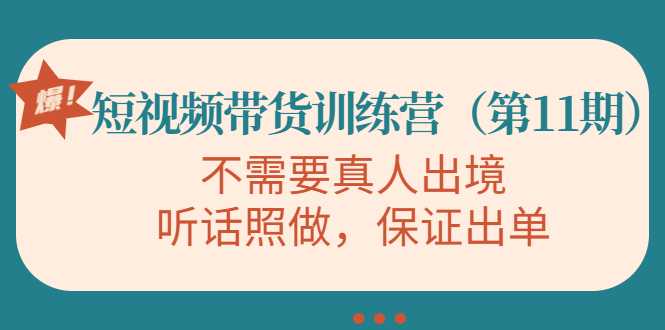 视频带货训练营，不需要真人出境，听话照做，保证出单（第11期）-项目熊-引流教程-网赚教程-副业教程-引流技术-副业-网络赚钱项目