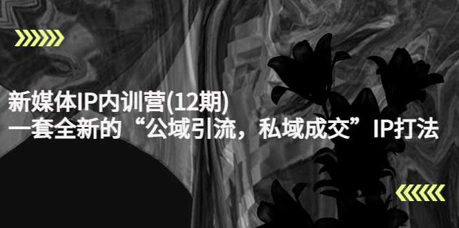 图片[1]-新媒体IP内训营(12期)，一套全新的“公域引流，私域成交”IP打法，直接带走-项目熊-引流教程-网赚教程-副业教程-引流技术-副业-网络赚钱项目